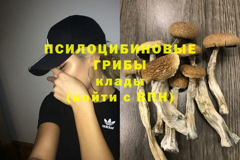 МЕГА ССЫЛКА  Байкальск  Галлюциногенные грибы Psilocybe 